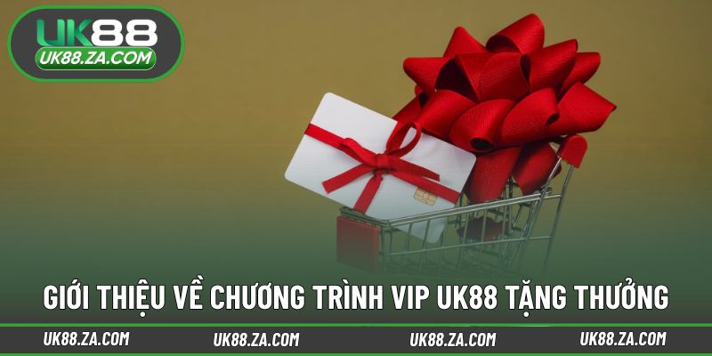 Chính sách ưu đãi dành cho nhóm thành viên cao cấp