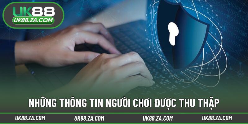 Nhóm dữ liệu cơ bản phục vụ quá trình sử dụng